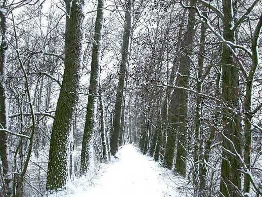 molenkade,_3_maart_2005_(24)