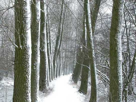 molenkade,_3_maart_2005_(40)