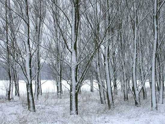 molenkade,_3_maart_2005_3
