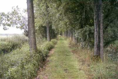 molenkade,_9_juli_(1)