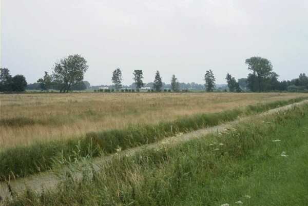 molenkade,_kaalsllag,_23_juli