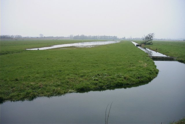 plas_polder_achthoven,_140204