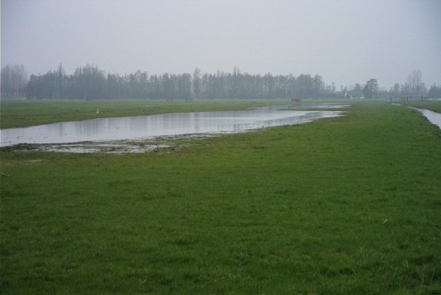 plas_polder_achthoven,_140204_(1)