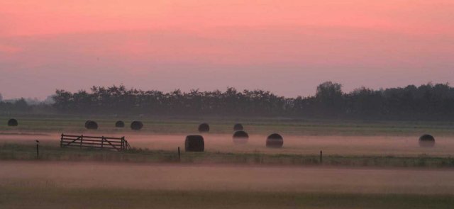 polder_achthoven,_10_juni_2006_zenno