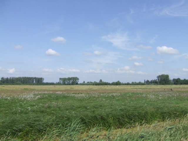 polder_achthoven,_10_juni_2008_(1)