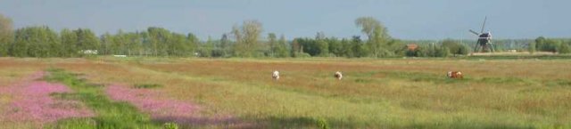 polder_achthoven,_17_mei_2005