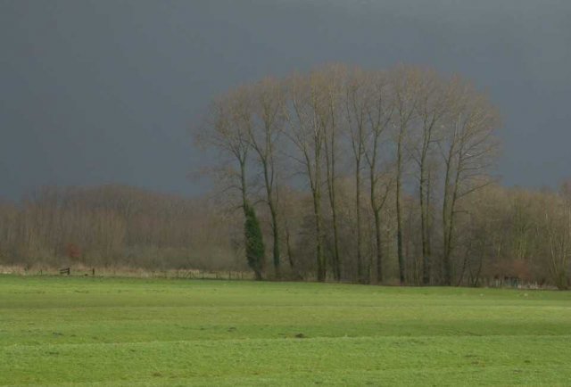 polder_achthoven,_19_febr._2005_(6)