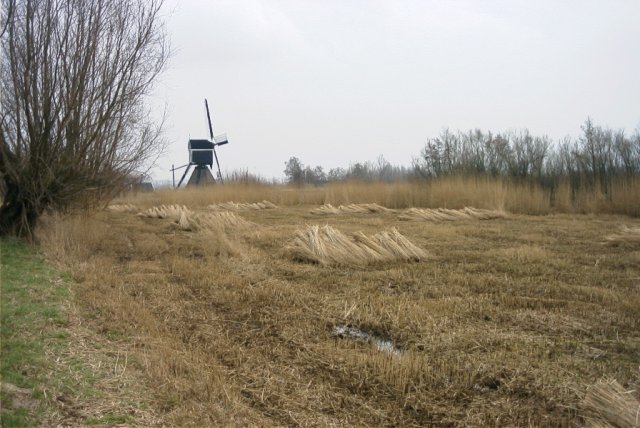 vlietmolen,_130204