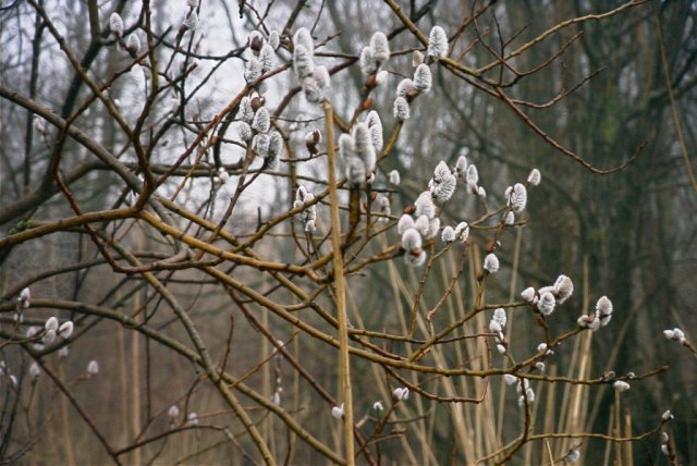 zouweboezem,_130204_(2)