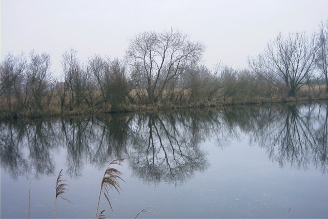 zouweboezem,_140204_(3)