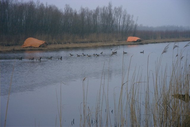 zouweboezem,_140204_(5)