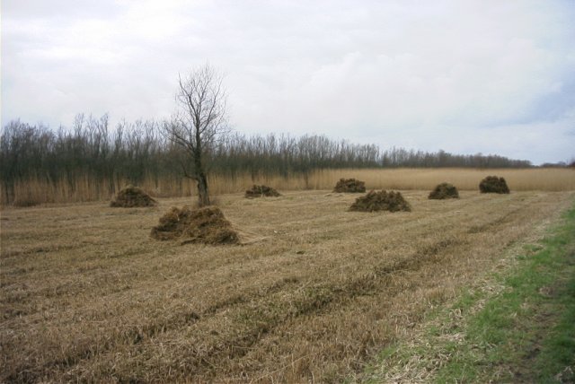 zouweboezem,_150204_(3)