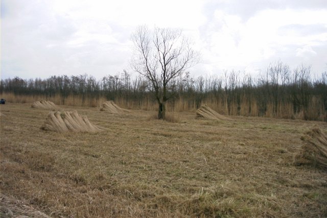 zouweboezem,_150204_(5)