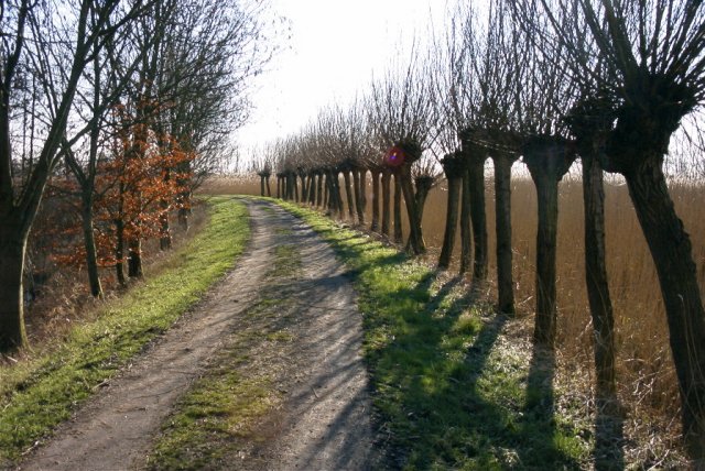 zouweboezem,_200204_(16)