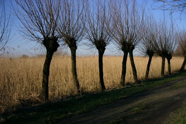 zouweboezem,_200204_(19)