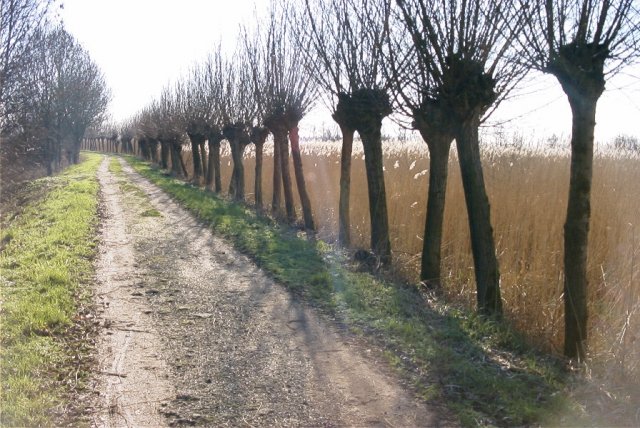 zouweboezem,_200204_(23)
