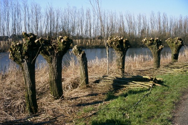 zouweboezem,_200204_(3)