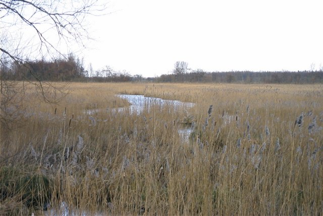 zouweboezem,_220204