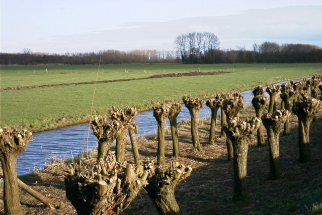 zouweboezem,_220204_(2)
