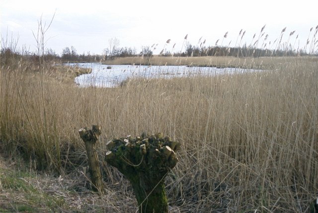zouweboezem,_220204_(4)