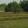 polderachthovenbreedbeeldkijkhut150520201