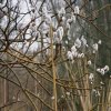 zouweboezem,_130204_(2)