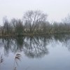 zouweboezem,_140204_(3)
