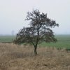 zouweboezem,_140204_(4)