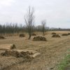 zouweboezem,_150204
