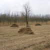 zouweboezem,_150204_(4)