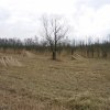 zouweboezem,_150204_(5)