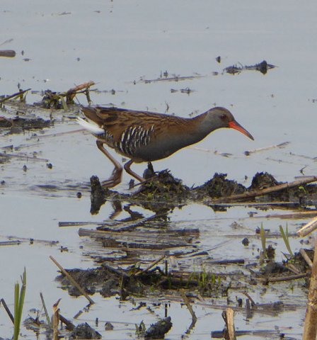 waterralzouweboezem03052015_2