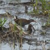 waterralzouweboezem03052015_1