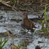 waterralzouweboezem03052015_5