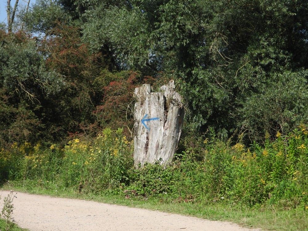 gelestamjagermanmillingerwaard03092021 4