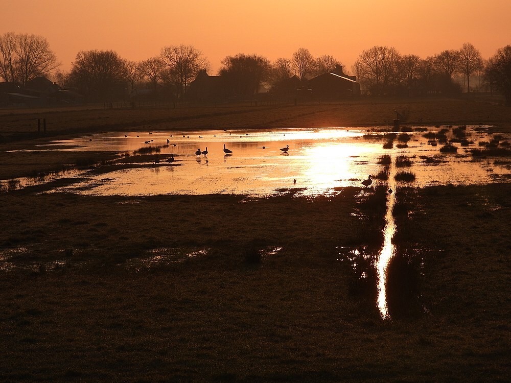 plasdrasochtendroodpolderlakerverldlexmond21032025