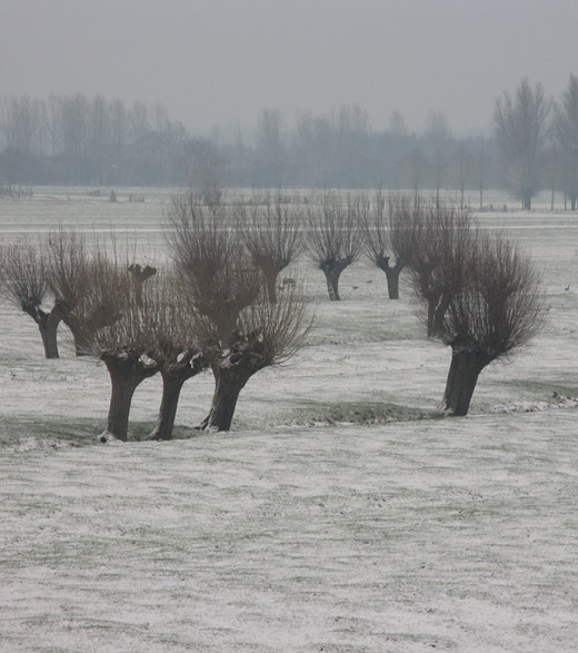 achthoven_171209.jpg