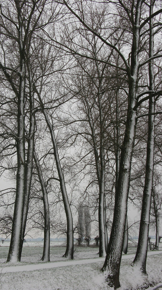 tienhoven_171209.jpg