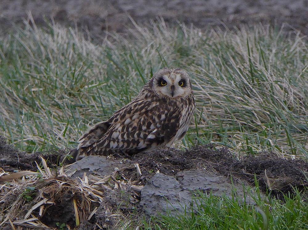 velduilzevenhuizen20122015 2