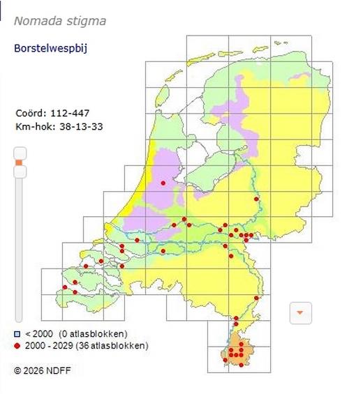 borstelwespbijvanaf2000www.verspreidingsatlas.nl