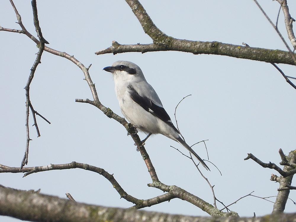 klapeksterleersumseveld03032021