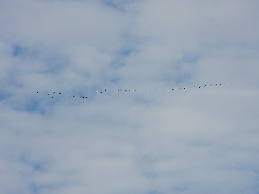 kolganzentrekzouweboezemgebied19102025 1