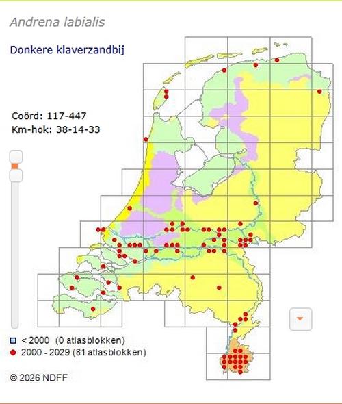 donkereklaverzandbijvanaf2000ww.verspreidingsatlas.nl