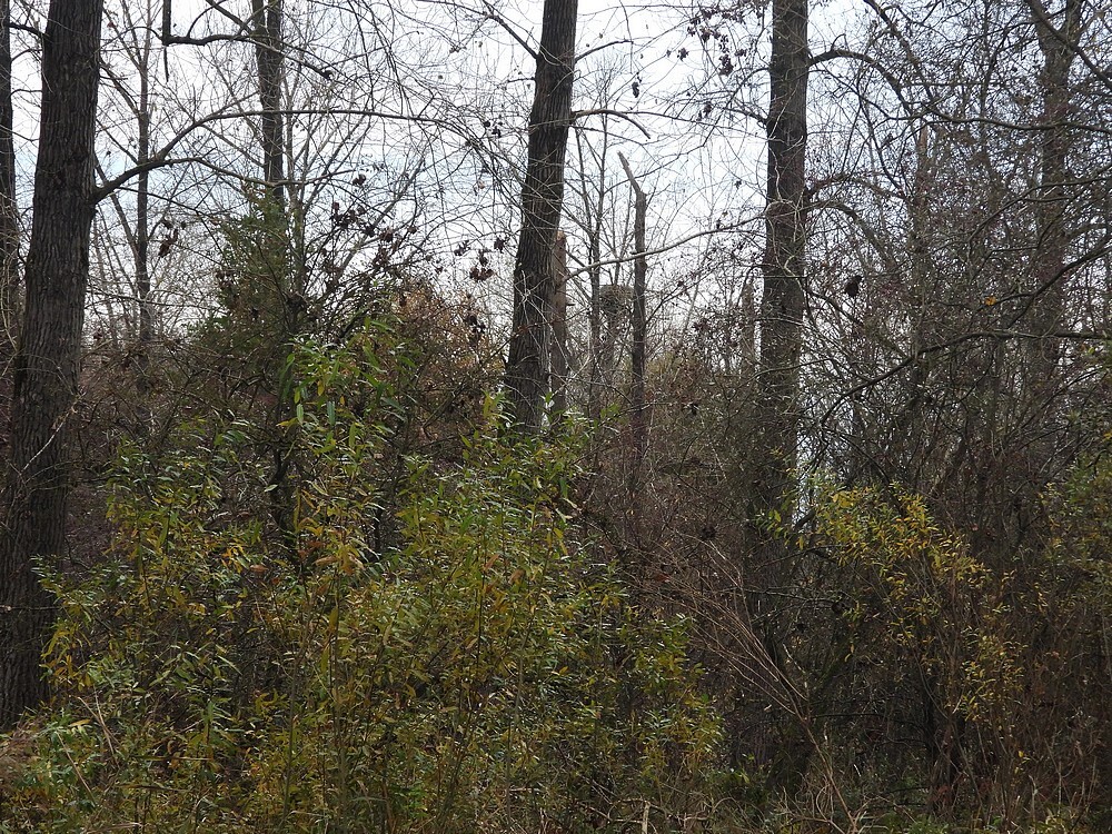 zeearendzouweboezemgebied13112025