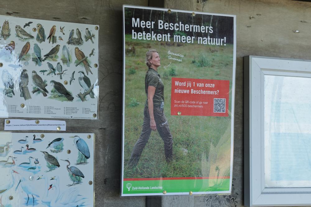 ledenwerfposterzuidhollandslandscapvogelkijkhutzouweboezem22042026