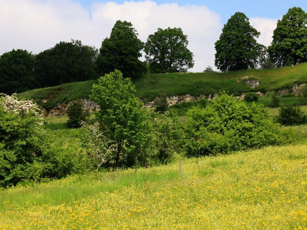 doalkesbergschinopgeul25052023