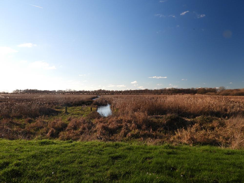 vogelkijkschermuitzichtzouweboezem24122025