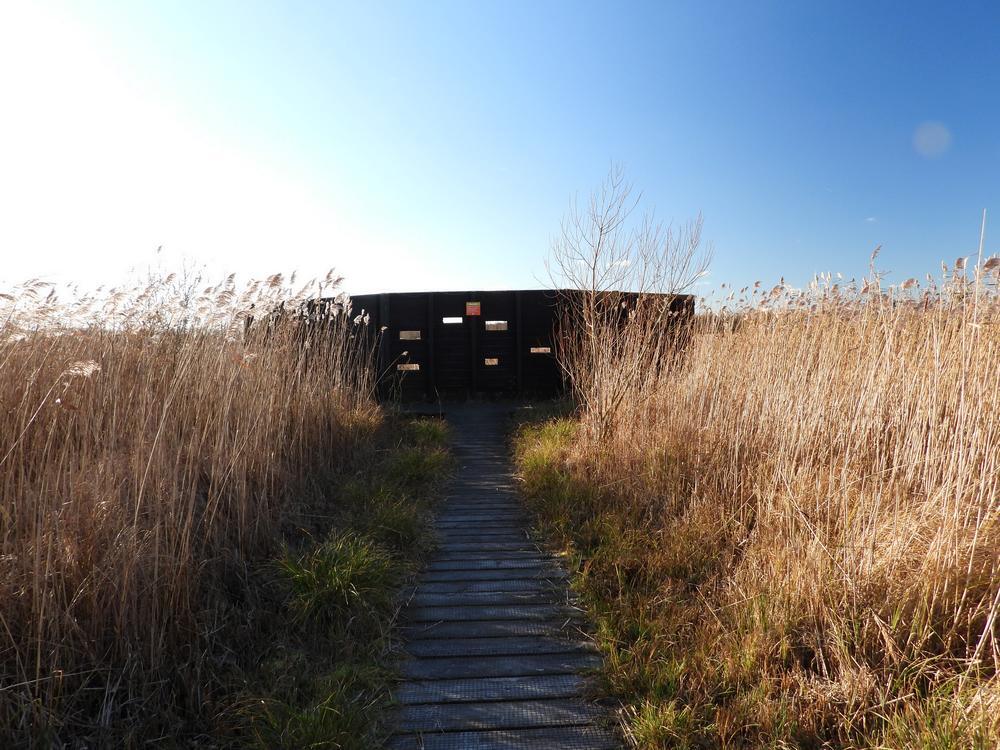 vogelkijkschermzouweboezem24122025