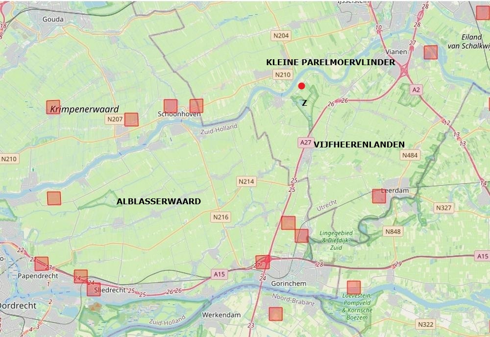 kleineparelmoervlinderopknoopkruidzouweboezemgebied13082026 kaartperide2000 2026