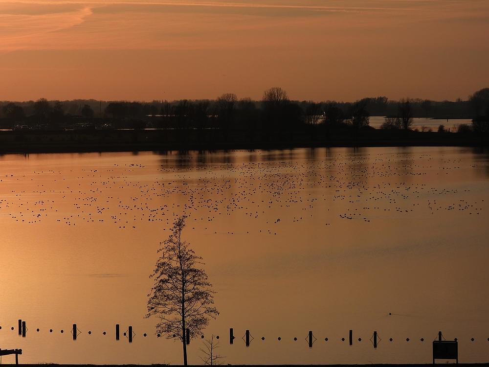 smientenplasmiddelwaardvianen17012026 2